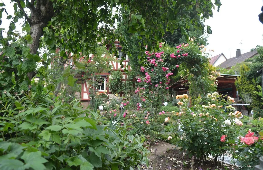 Romantik-Pension Vogt-1